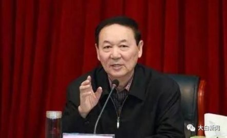 Zhang Zhongsheng, the deputy mayor of the Secretary of the Municipal Party Committee, 