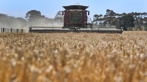 <b>China lifts anti-dumping tariffs on Australian barley after three years</b>