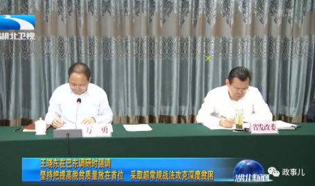 Former Mayor of Wuhan Wan Yong's new position disclosed