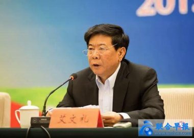 Ai Wenli, former vice-chairman of the Hebei CPPCC, has surrendered himself due to viol