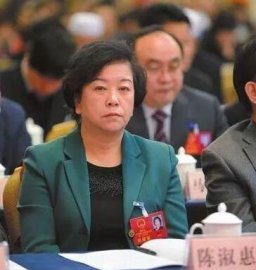 <b>Not long after secretary Li Jianjun fell, female mayor Chen Shuhui was investigated</b>