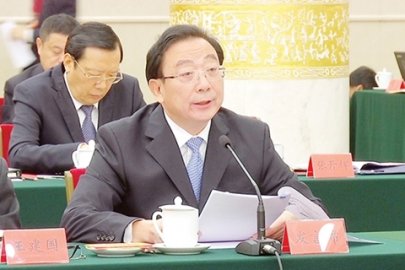 Pu Bo, the former vice governor of Guizhou, was double fired for gambling