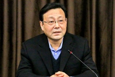 Wang Chen, Former President of Wuhan Intermediate People's Court, Was Double Open