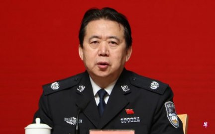 <b>Meng Hongwei resigns, internal rules prohibit investigation into his whereabouts</b>