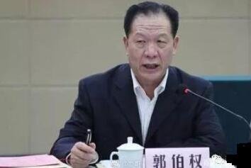 Guo Boquan's latest job disclosure after resigning from the Shaanxi Museum of Cul