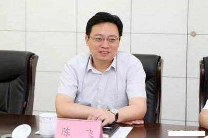 Chen Fei, the youngest mayor of Shandong, has changed his position