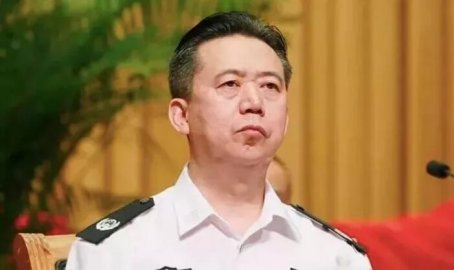 <b>Meng Hongwei, former deputy minister of the Ministry of Public Security, was arrested </b>