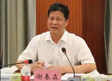 The deputy mayor and son were tried in Tongting, and 7.4 million bribes were jointly b