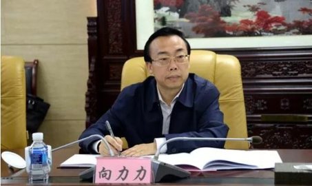 Deputy Ministry Tiger was ＂spike＂ and was investing in the case of Qin Guangrong