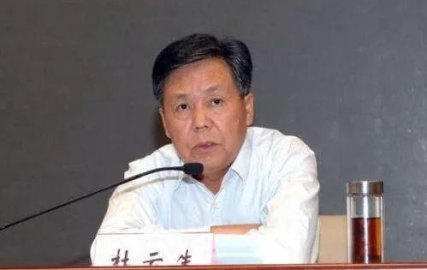 Du Yunsheng, director of the Department of Land and Resources of Hubei Province, was e