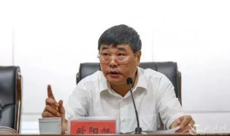 Ouyang Xu, Secretary of the Political and Legal Committee of Hunan Province for 8 year