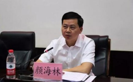 Yan Haolin, the former secretary -general of Yongzhou City, engaged in political climb