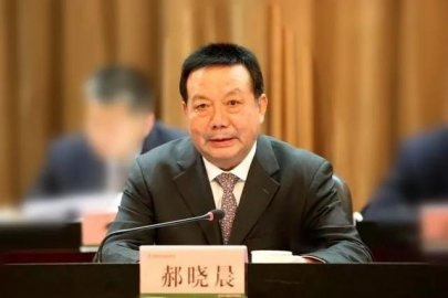 Hao Xiaochen, former chairman of Shaanxi Gas Group, was punished