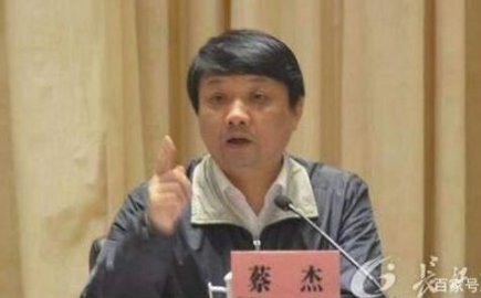 A heavyweight Wuhan official, was expelled from party membership and public office