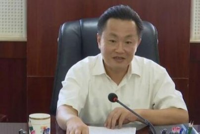 Chen Shaowang, Secretary of Tianjin Heping District, Ren Dalian Deputy Secretary