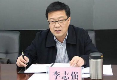 Li Zhiqiang, the officer of the Politics and Law Department of the Leadership of the L