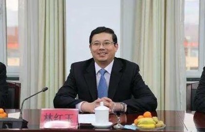 Lin Hongyu, Secretary of the Shouguang Municipal Party Committee, plan