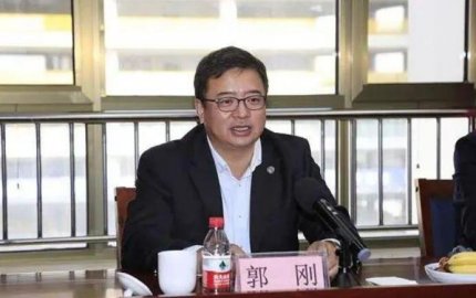 <b>Guo Gang, executive deputy mayor of Bayannaoer, was investigated for serious disciplin</b>