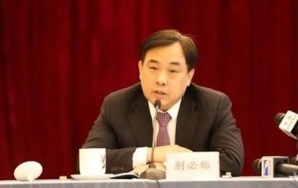 The Secretary -General of the Hubei Provincial Government, Bingxiong, is being investi