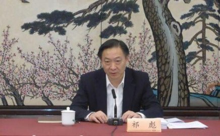 Qi Biao, deputy director of the Jiangsu Development and Reform Commission, was investi