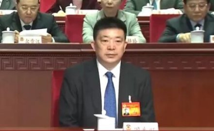 Zhou Xianwang was elected vice chairman of the Hubei Provincial CPPCC