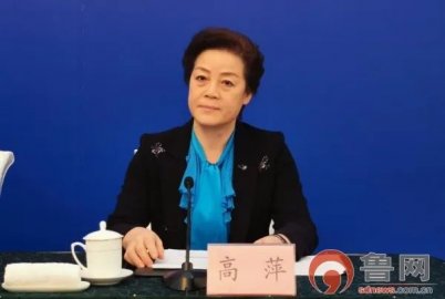 Gao Ping, General Accountant of the State Administration of Taxation, was investigated