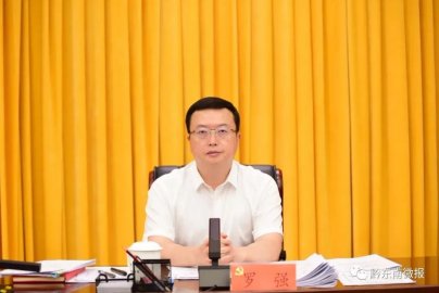 Luo Qiang served as secretary