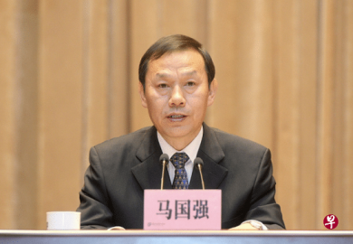 Ma Guoqiang, former secretary of the Wuhan Municipal Party Committee Ma Guoqiang for t