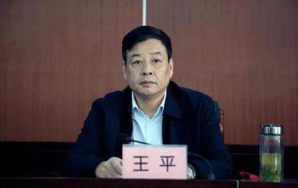 Wang Ping, former director of the Public Security Bureau of Zhoukou City, Henan