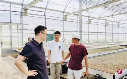 Hong Kong Media: Ma Yun appeared on the Zhejiang Farm on the 1st of this month