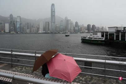 <b>In the afternoon, the principals swept to the anti -repair example of Hong Kong?</b>