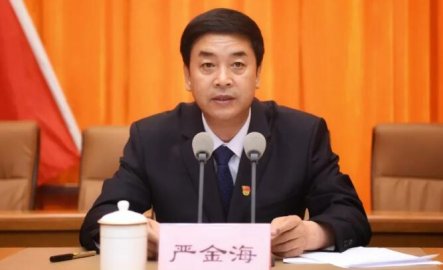 Tibetan provincial government's leader Yan Jinhai also served as secretary of the