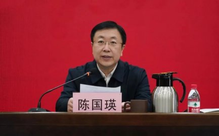 The central government decided: Chen Guoying served as the general manager of China We