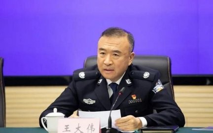 Wang Dawei, deputy governor of Liaoning Province, was investigated