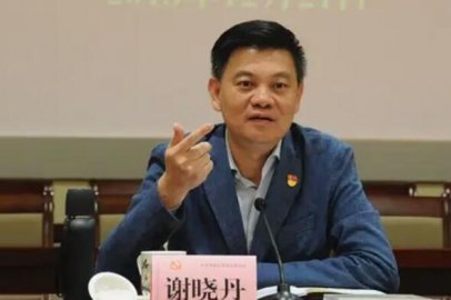 Xie Xiaodan, former member of the Standing Committee of the Guangzhou Municipal Party 