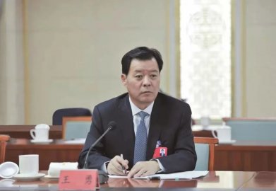 Wang Yong, chairman of Ningxia Hui Yinchuan CPPCC, was checked