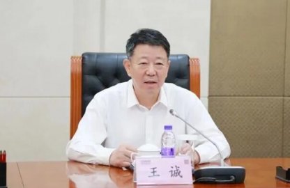 Wang Cheng, deputy secretary -general of the Anhui Provincial Government, was investig