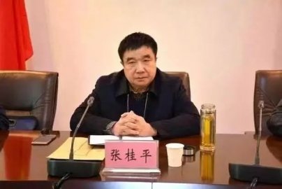 Zhang Guiping, Xuchang City, took the initiative to invest in the case after more than