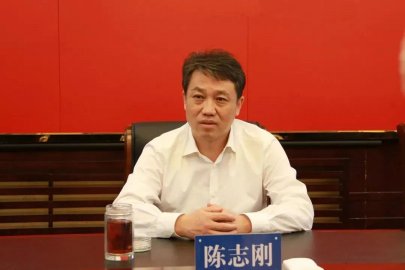 Chen Zhigang, former deputy mayor of Anshan City and former director of the Municipal 