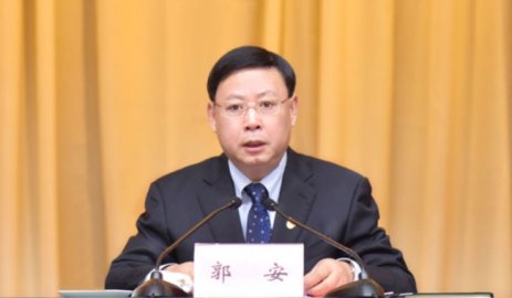 Dang Dangdang, Secretary of the Municipal Party Committee, was domineering Guo An was 