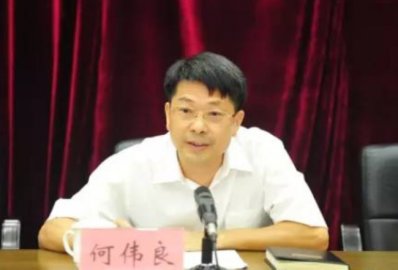 He Weiliang, the former deputy mayor of Heyuan City, was checked by the former executi