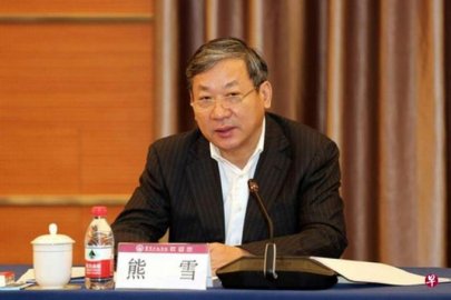 Xiong Xue, the former deputy mayor of Chongqing, was checked