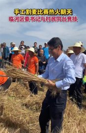 The Secretary of the District Party Committee participated in the hand -cut wheat comp