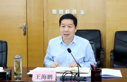 The 14th People's Representative decided that Wang Haipeng was the deputy governo