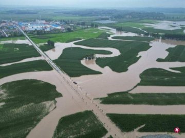 The deputy mayor of Jilin Shulan City and the four people and other four people lost c