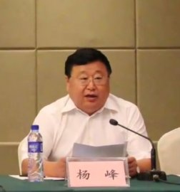 Yang Feng, member of the Standing Committee of the Municipal Party Committee and Secre