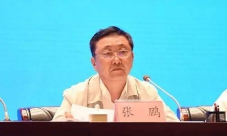 Zhang Peng, the former director of the Housing and Construction Department of Guizhou 