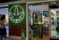 Society: Thai cannabis sales point surge is worthy of attention