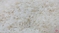 Yan Mengda: a kind of rice raising one person