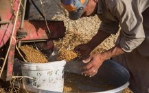 Joint Call for the international community to emergency support for food shortage coun